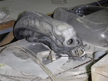 Alien skull before animatronics get installed