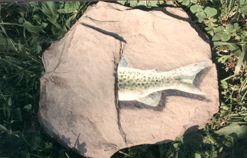 Slatefish (acrylic)