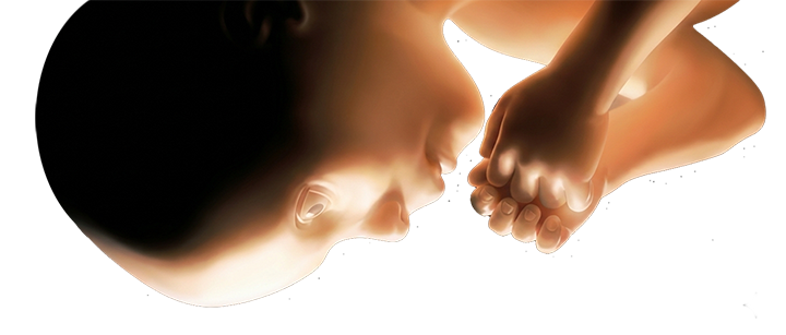 A symbol of humanity and evolution